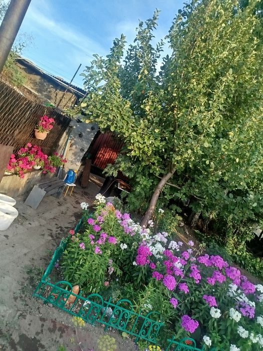 Продам срочно дом