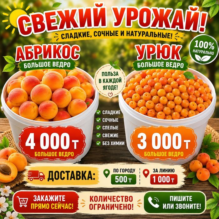Свежий урожай! Абрикос, урюк