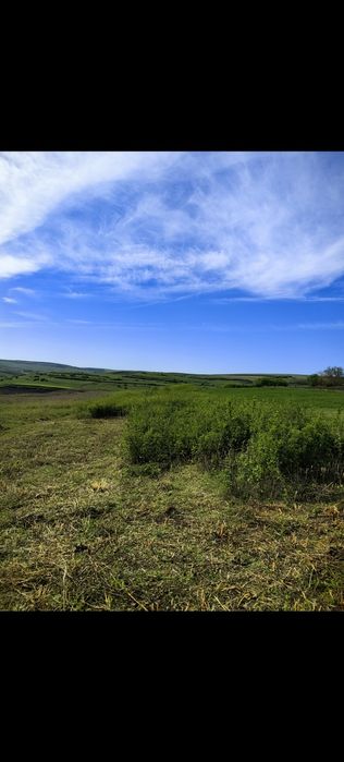 Curățare teren, curățare pasuni, defrisare, intretinere