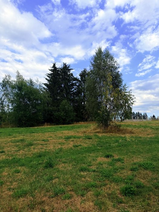 Teren de vânzare Dealu Negru-judetul Cluj