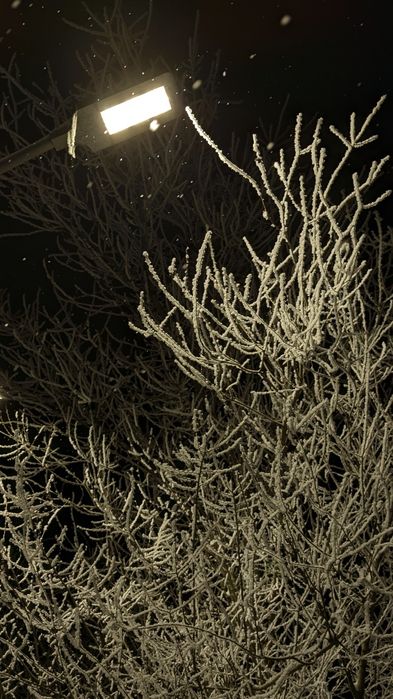 Пиксель 7про в адекватном состоянии