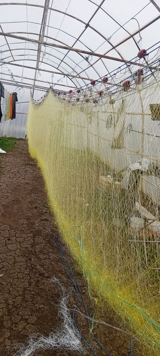 Setca pește,halău,crâsnic plasa