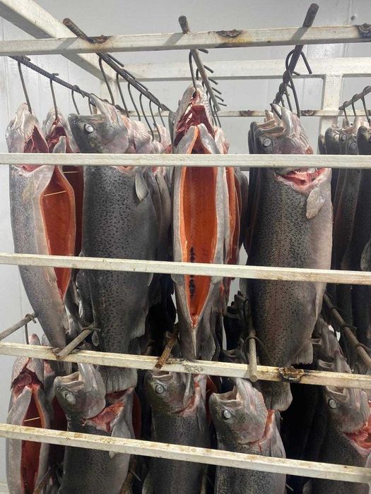 Форель от производителя