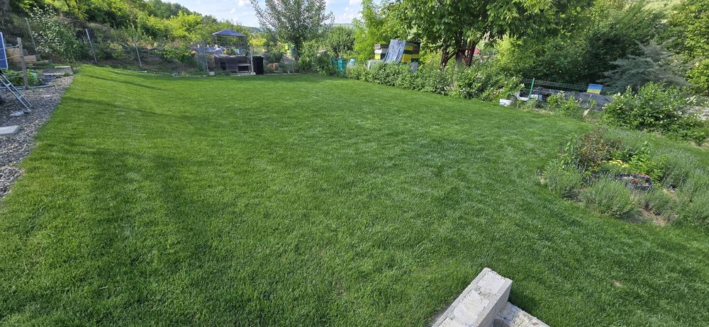 Peisagistica: tuns iarba, sisteme de irigat, intretinere gazon.