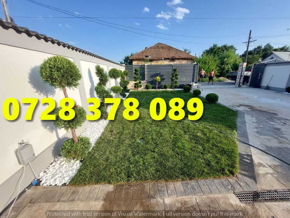 Gazon Rulou Pentru Curtea ta