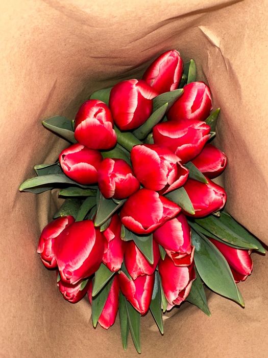 Тюльпаны к 8 марту корпоративные