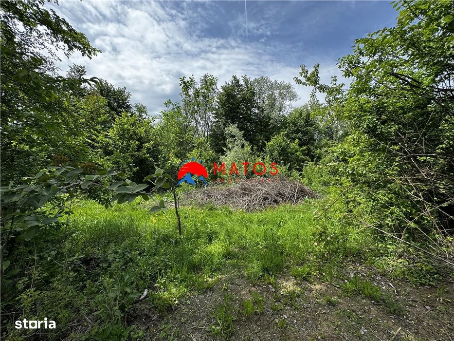 Teren intravilan 1.300 mp în Cornu de Jos, Prahova – zona linistita, u