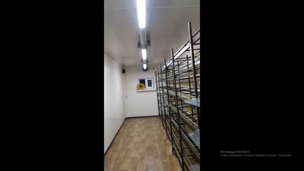 Перепелиный бизнес под ключ