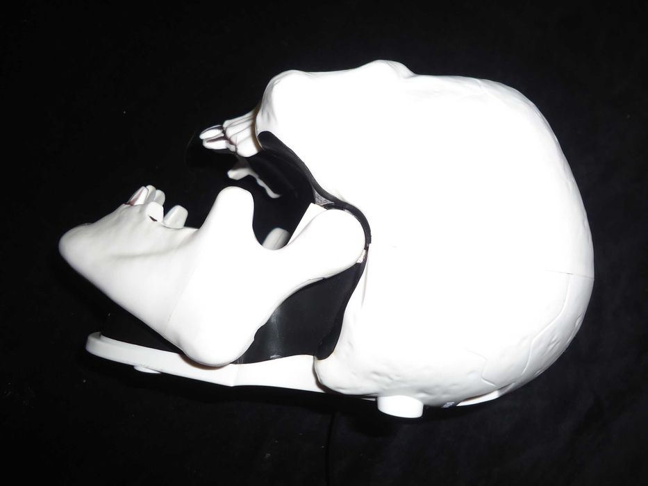 Telefon fix cap de mort craniu skull schelet