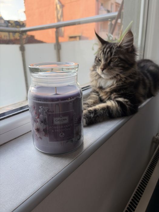 Candra candle - свещ ухаеща на свежест и лекота