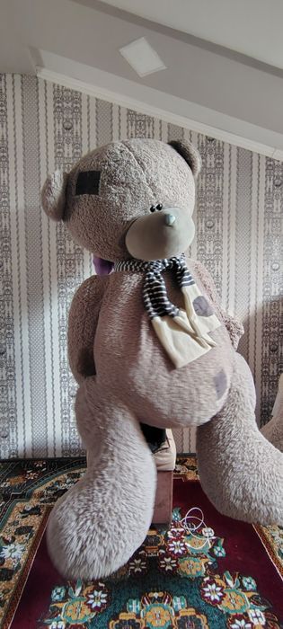 Teddy ayiq kotta