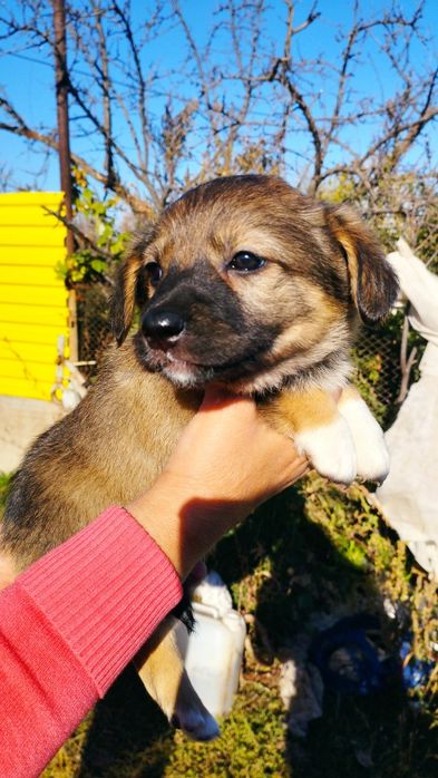 Үлкен сиськи бар мастурбация