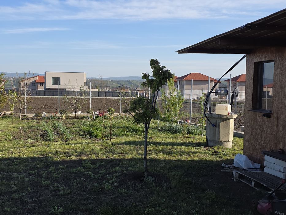 Peoprietar vând loc de casa /grădină Valea Lupului / Rediu