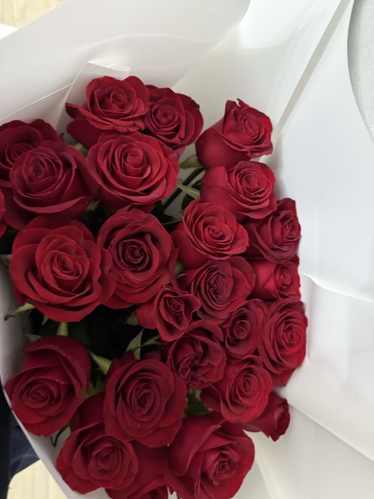 Свежие цветы розы красные