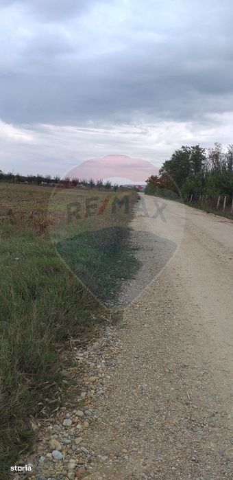 Teren extravilan 3000mp de vânzare la Sântion