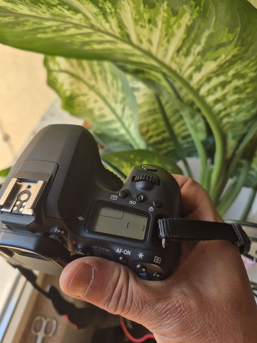 DSLR Canon 77D body