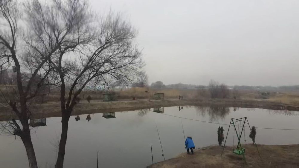 Продам землю 1.1 гектар