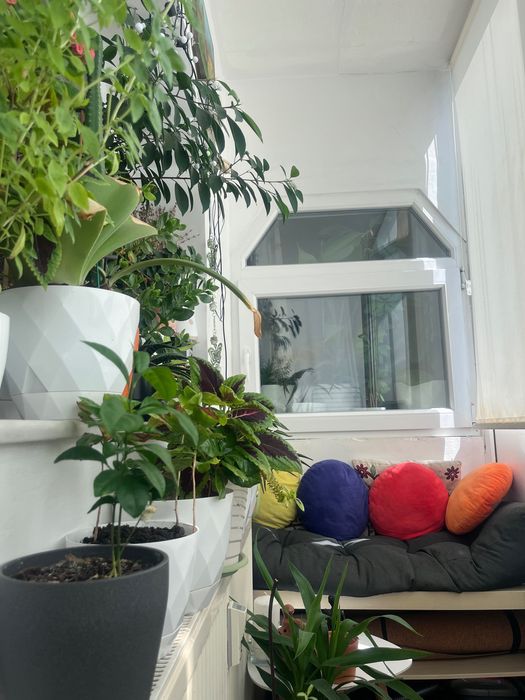 Vand apartament 2 camere Gorjului