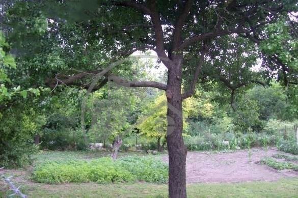 Продава се Къща в с. Крумово, Област Варна - 55 кв.м за 855 €/кв.м - Снимка #3