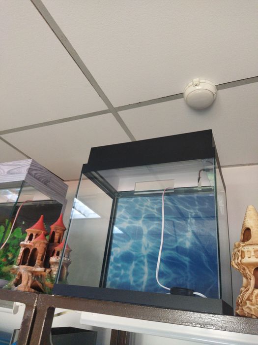 Аквариум.Навои Фрунзе