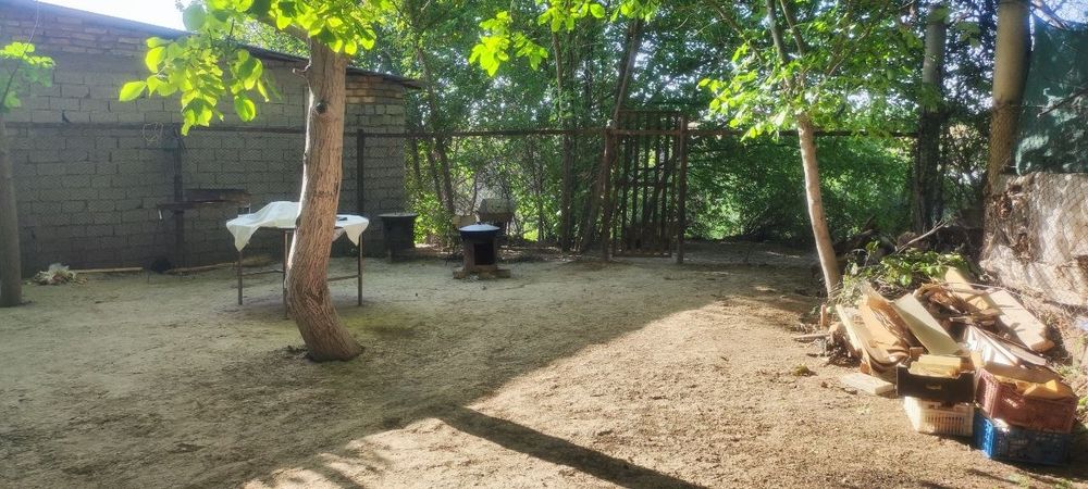 Аренда дачи Dacha arenda Qibray