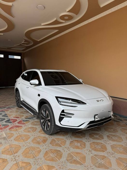 Byd song plus Chapion 605km