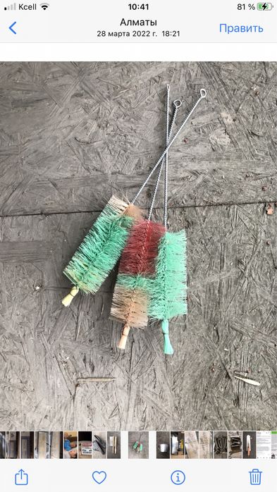 Ерш бутылочный