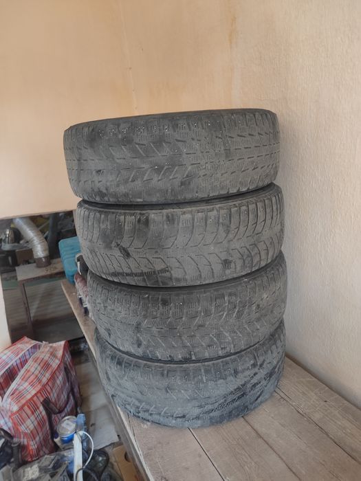 Зимние шины Triangle 195/65R15