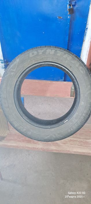 Продам авто резину