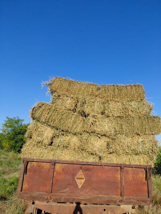 Baloți de lucernă
