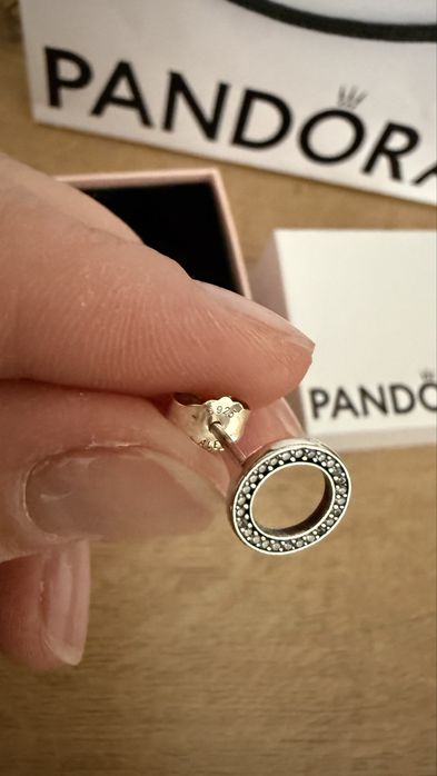 Pandora гвоздики  оригинал