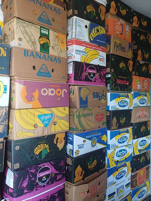 Baxuri banane de vanzare si ladite de plastic