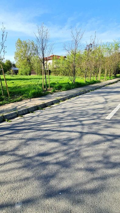 Teren intravilan 3250mp vedere la Lacul Colentina  oportunitate rara