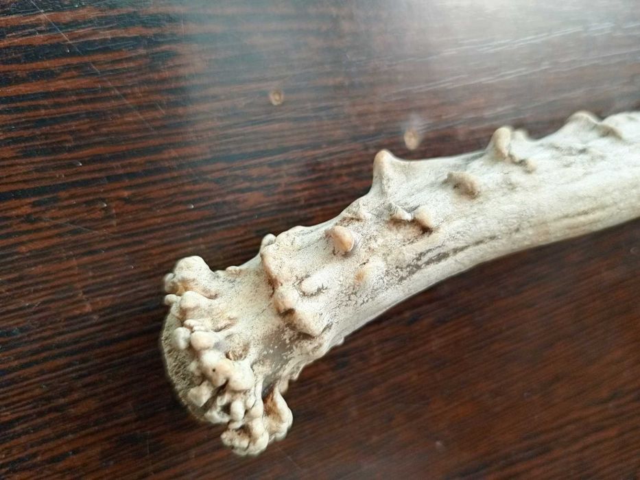 заготовка для ручки или сувенир