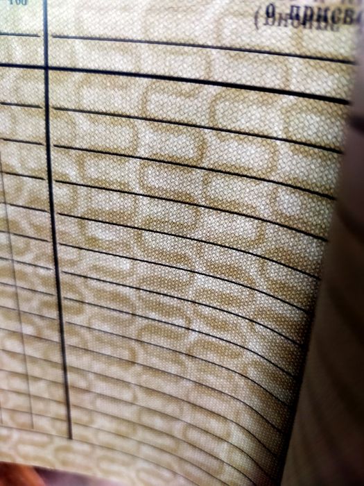 *Трудовая книжка.*