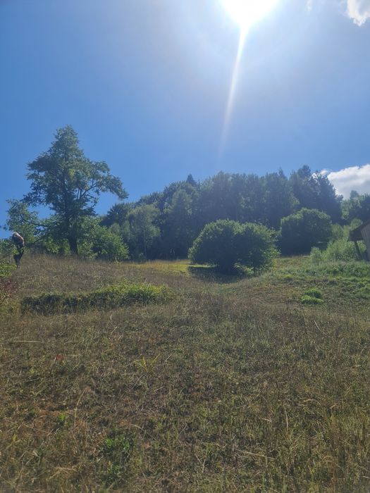 Продавам гора 9700 кв.м. в гр.Смолян,кв.Устово,над Комуна