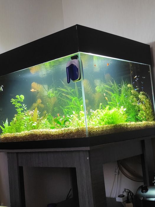 Аквариум 320 литров.