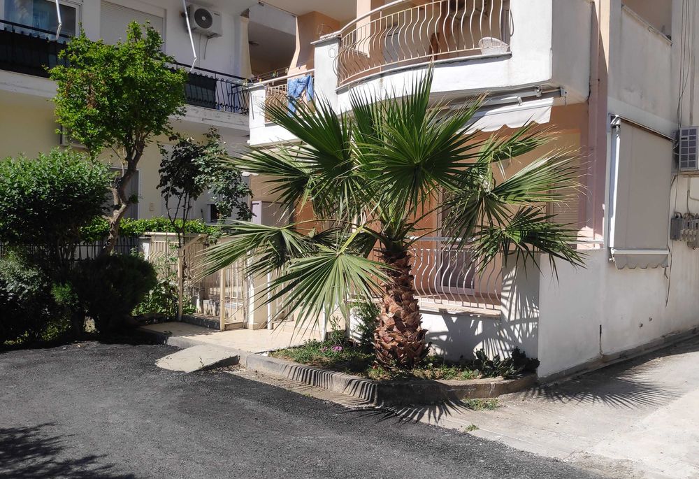 Почивка на море в Гърция - апартамент с 1 спалня до плажа за 2-4 гости