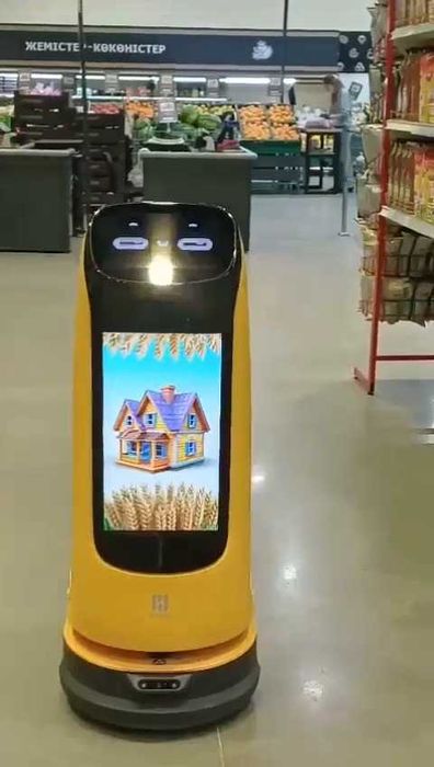 робот демонстрационный