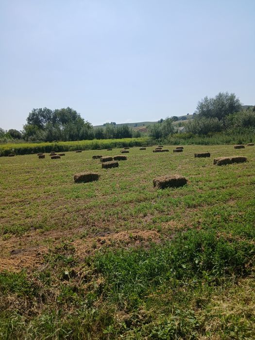 Balotat de vânzare a doua și a treia coasa 120 de baloti