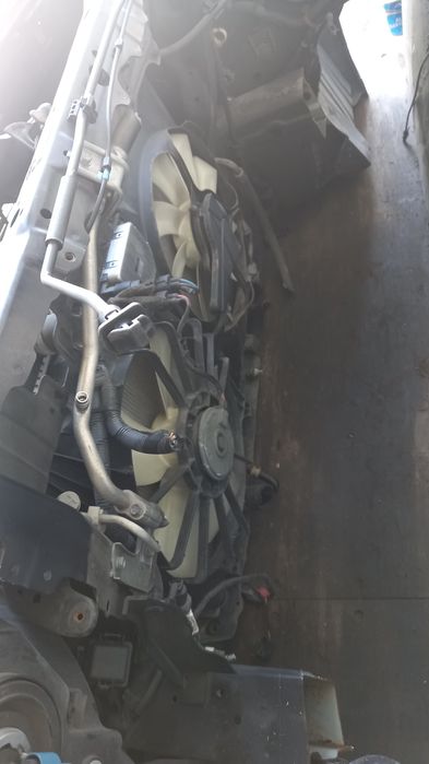 Хонда элизиён носкат