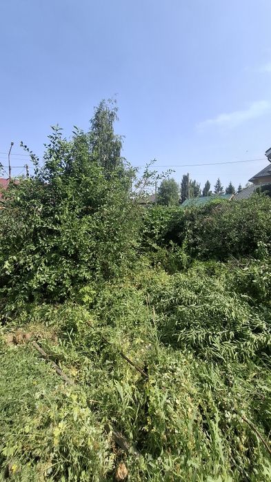 Дрова из вишни, клена