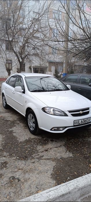 Жентра элегант плюс 2022