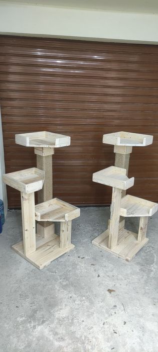 Котешка катерушка дърво