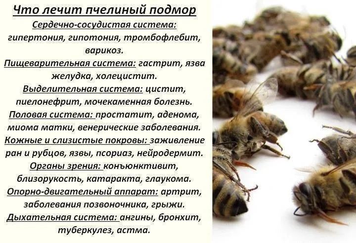 Продам Пчелиный подмор