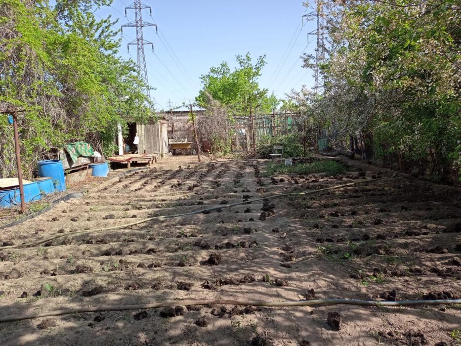 Продам срочно Огород СОТ Оазис в черте города.