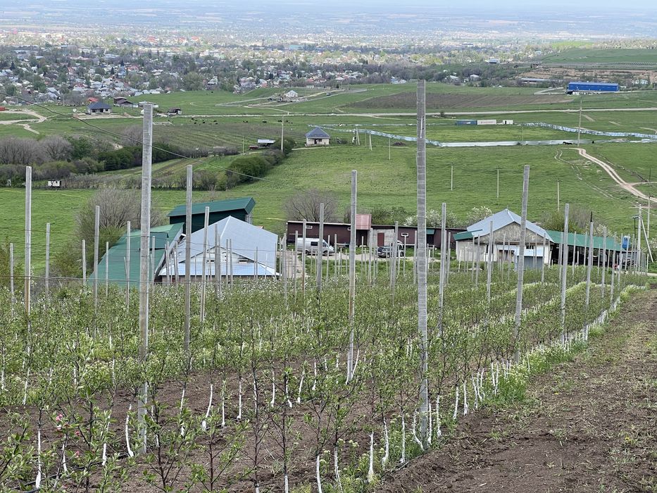 Продам Фазенду в талгаре