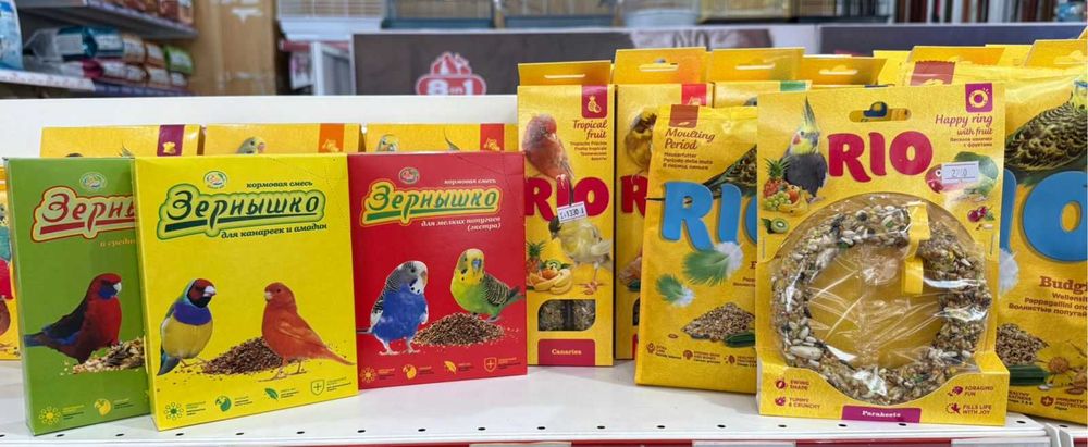 Птицы и попугаи в ЗООМИРЕ