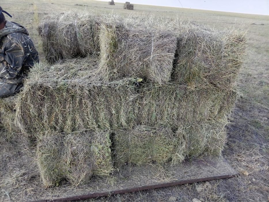 Продам сено в тюках