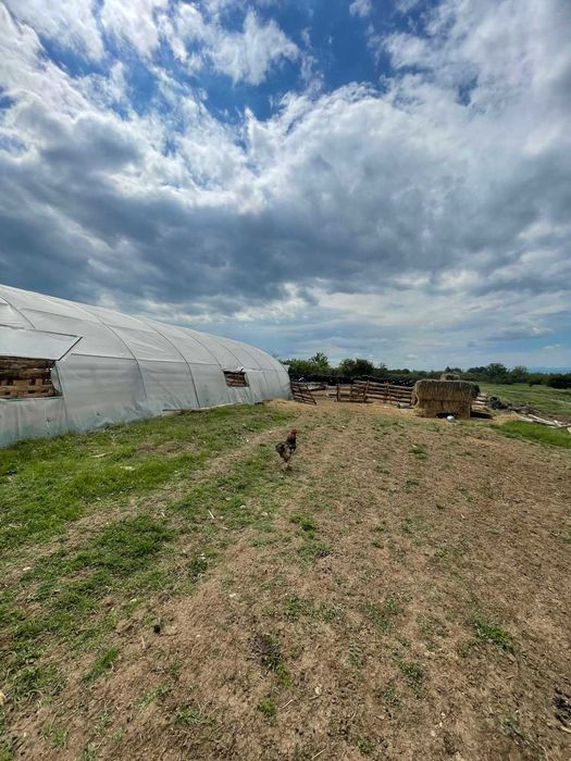 Продава се Парцел в Карнобат - 16000 кв.м за 0 €/кв.м - Снимка #11